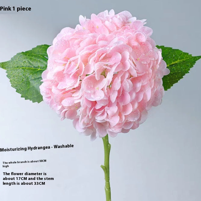324042b6e173fd9d055c98ef9a266518